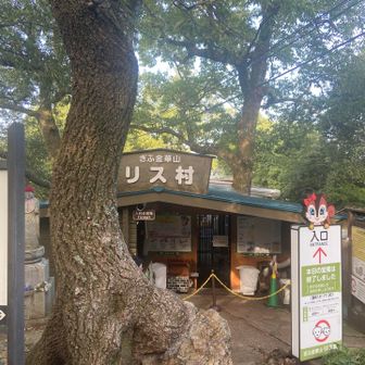 おっ！リス村！に到着　9:30会館