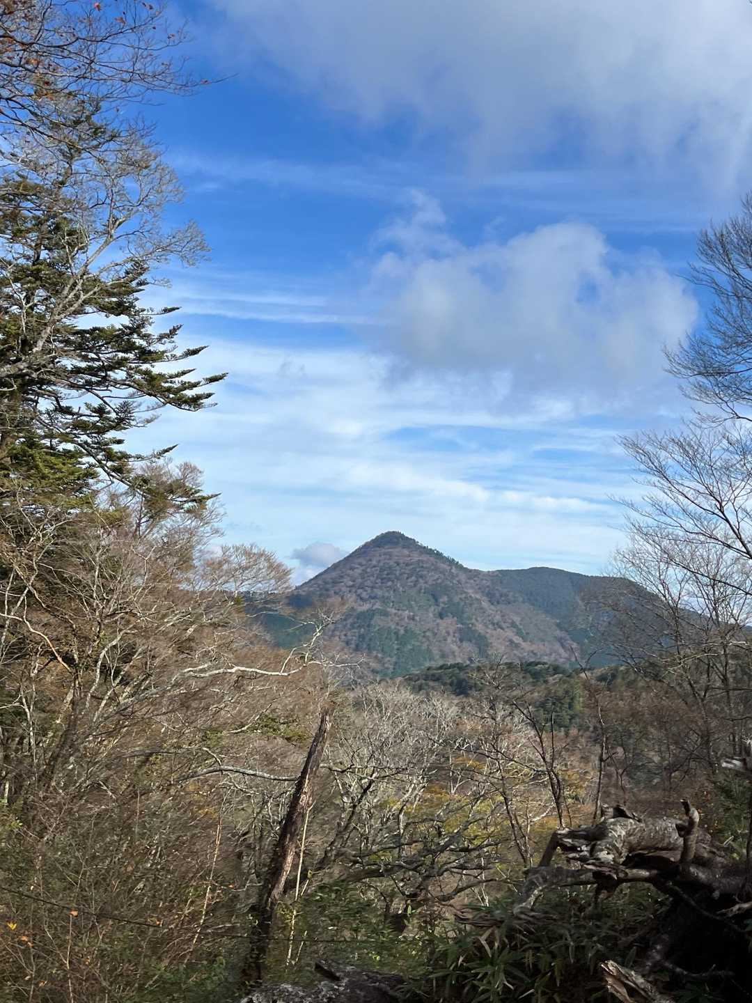 大久保山-八面山-三本杭 往復コースの写真