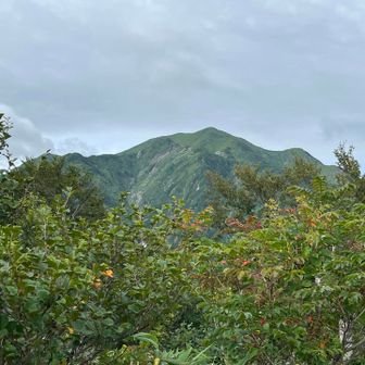 『越後駒ヶ岳』を振り返る
頑張ったなぁー