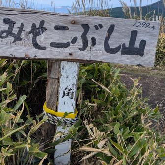 時間をかけミソコブシ山頂上到着しました😊