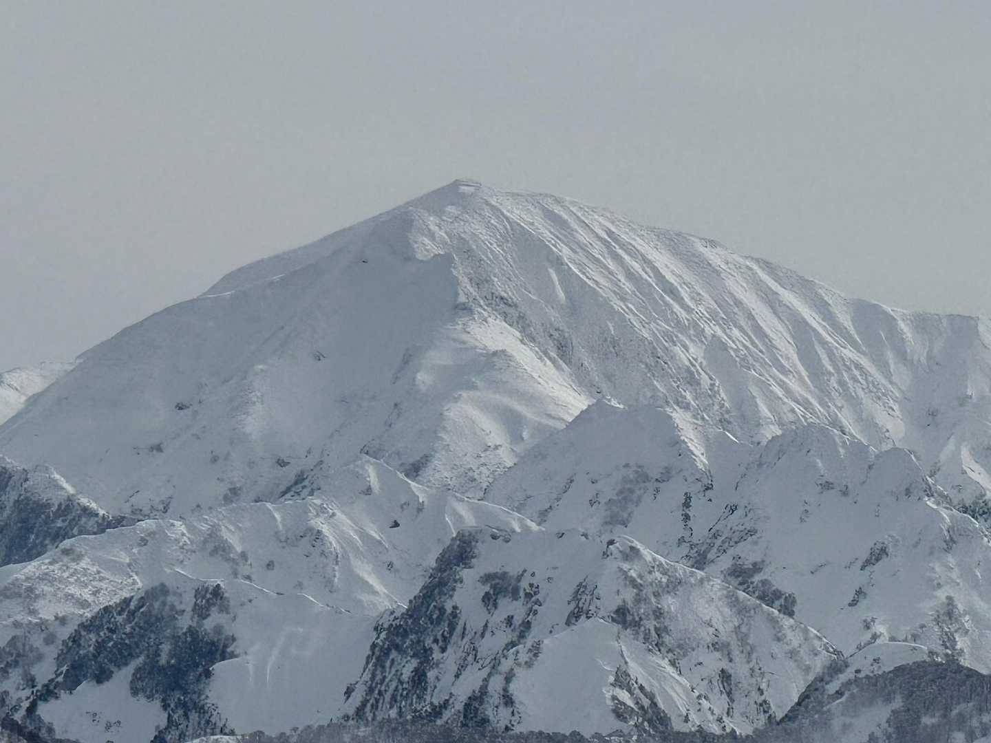 ハナコのコ 駒ヶ岳
