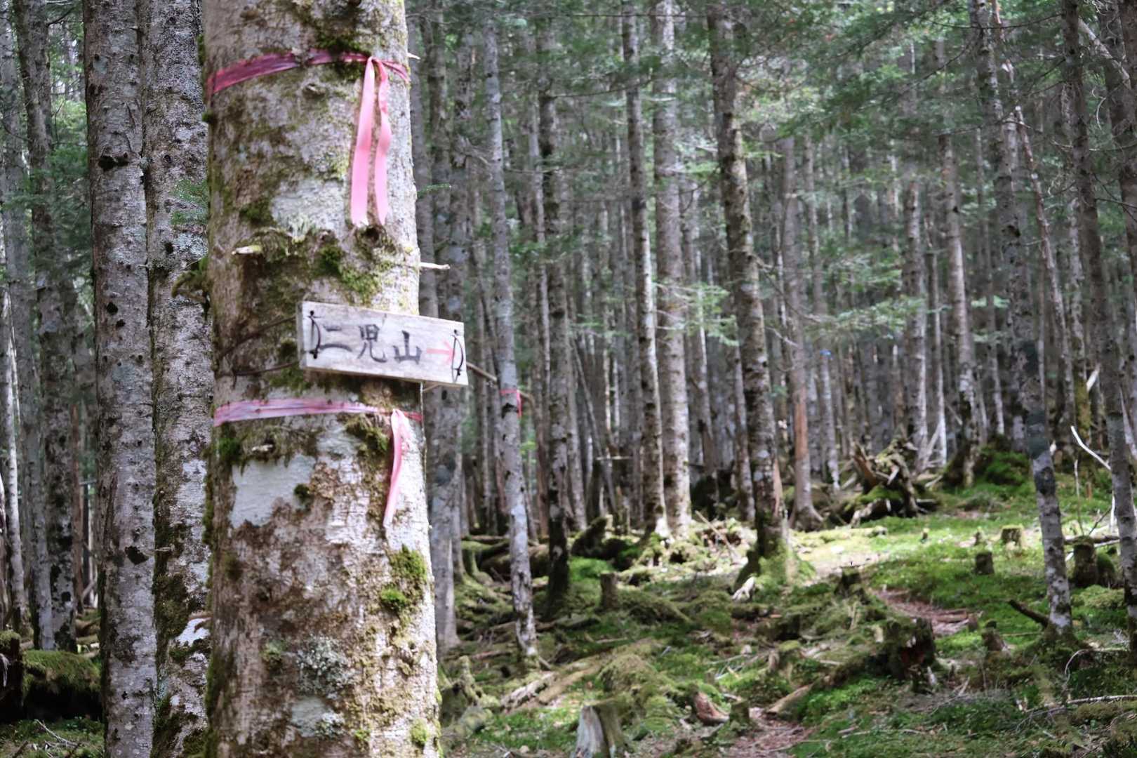ピンテとYAMAPのお陰で迷わず戻って来れた😮‍💨

ダンナさんの待つ二児山へ