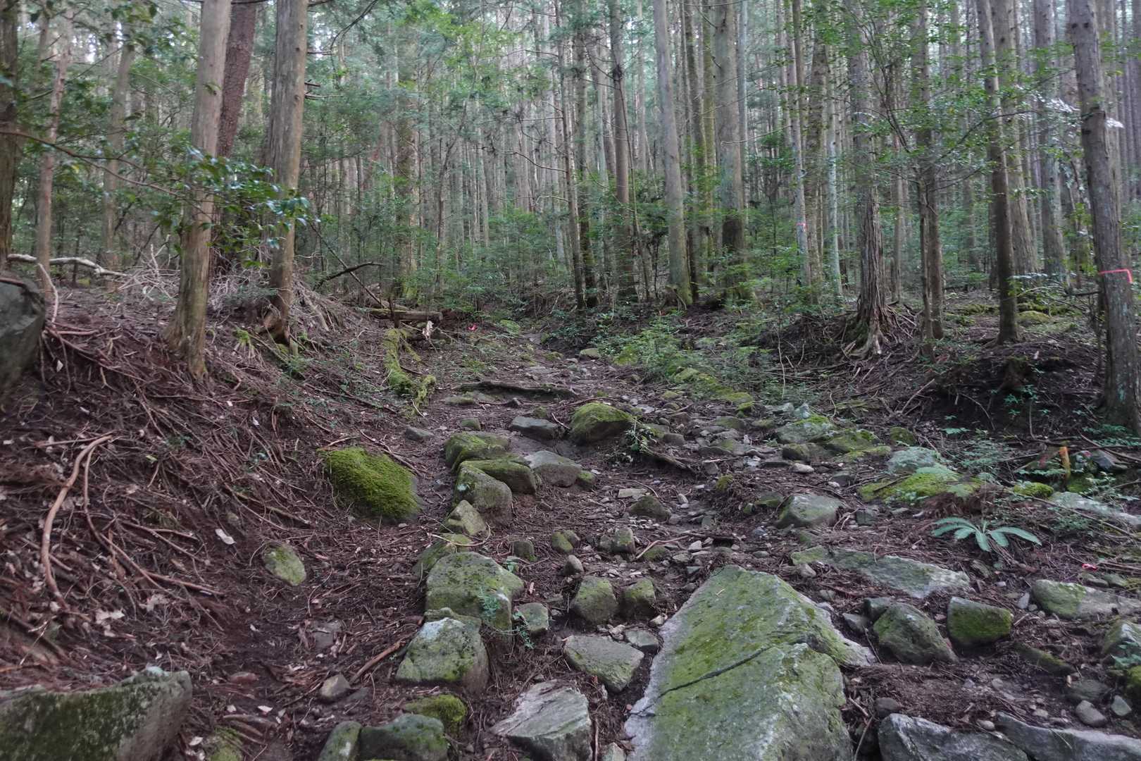 ガレていて、下山が思いやられます。