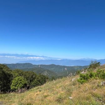 南アルプスと八ヶ岳
