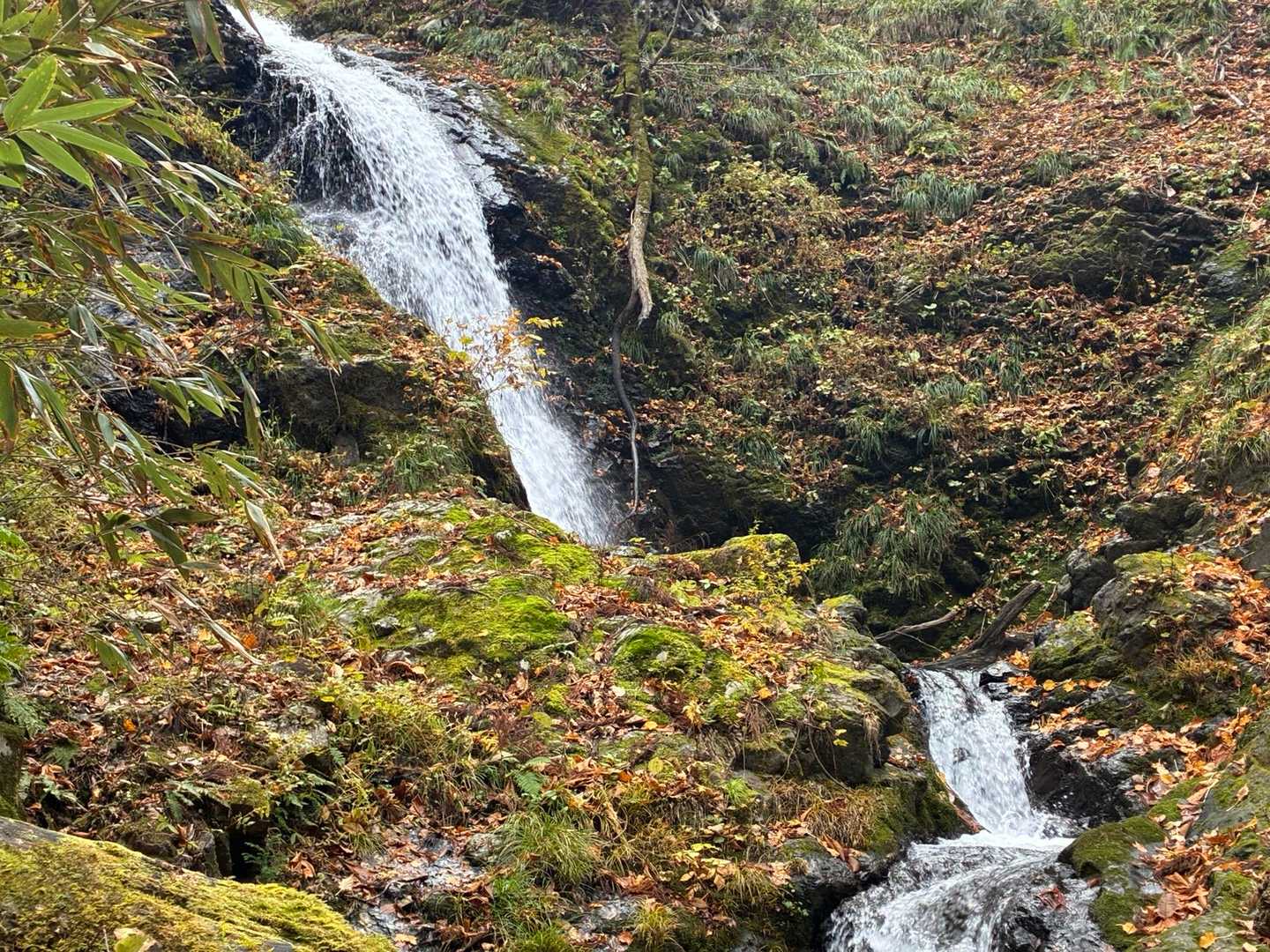 これが一の滝