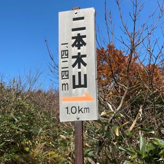 寄り道