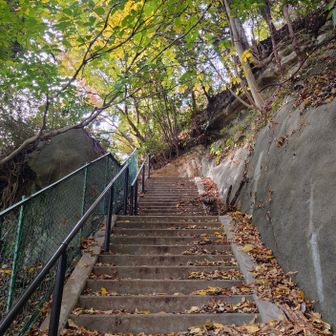 会が終わって、またまた単独で近くのお山にお邪魔してみました👣