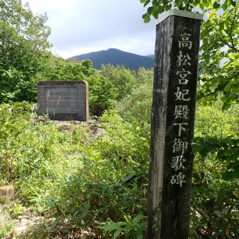 車道側から歌碑へ。
昭和29年11月建立