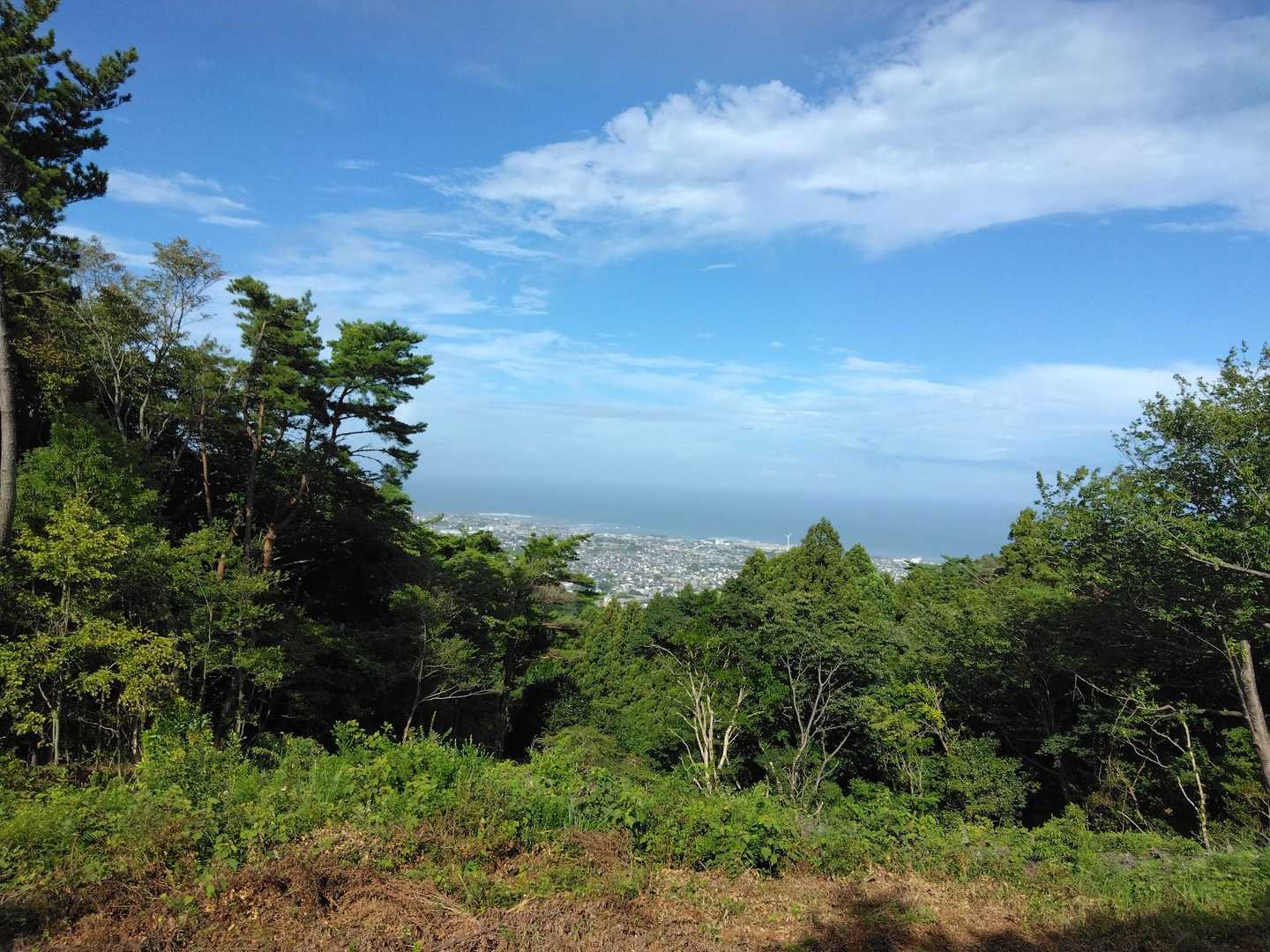 風神山 周回コースの写真