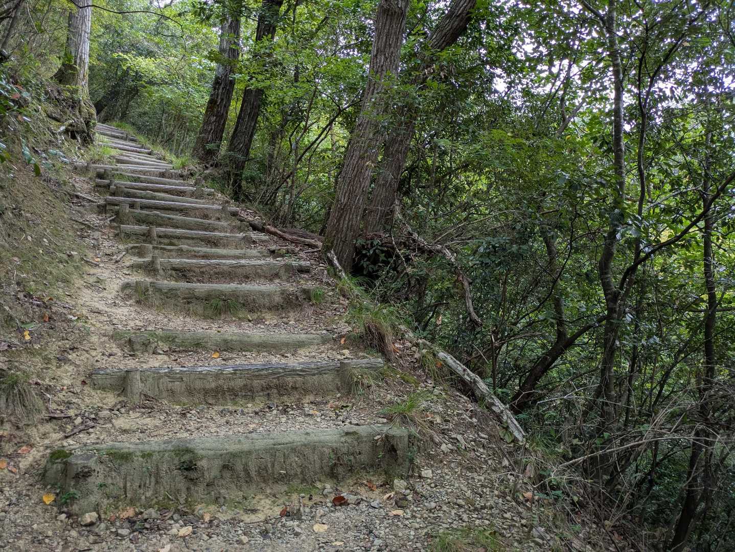 良いよー　気持ち良いよー