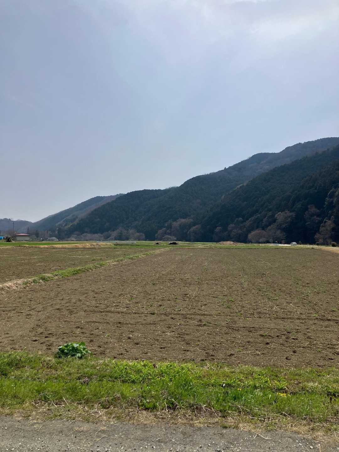 ノスタルジックな里山の風景が、郷愁を誘いますね。