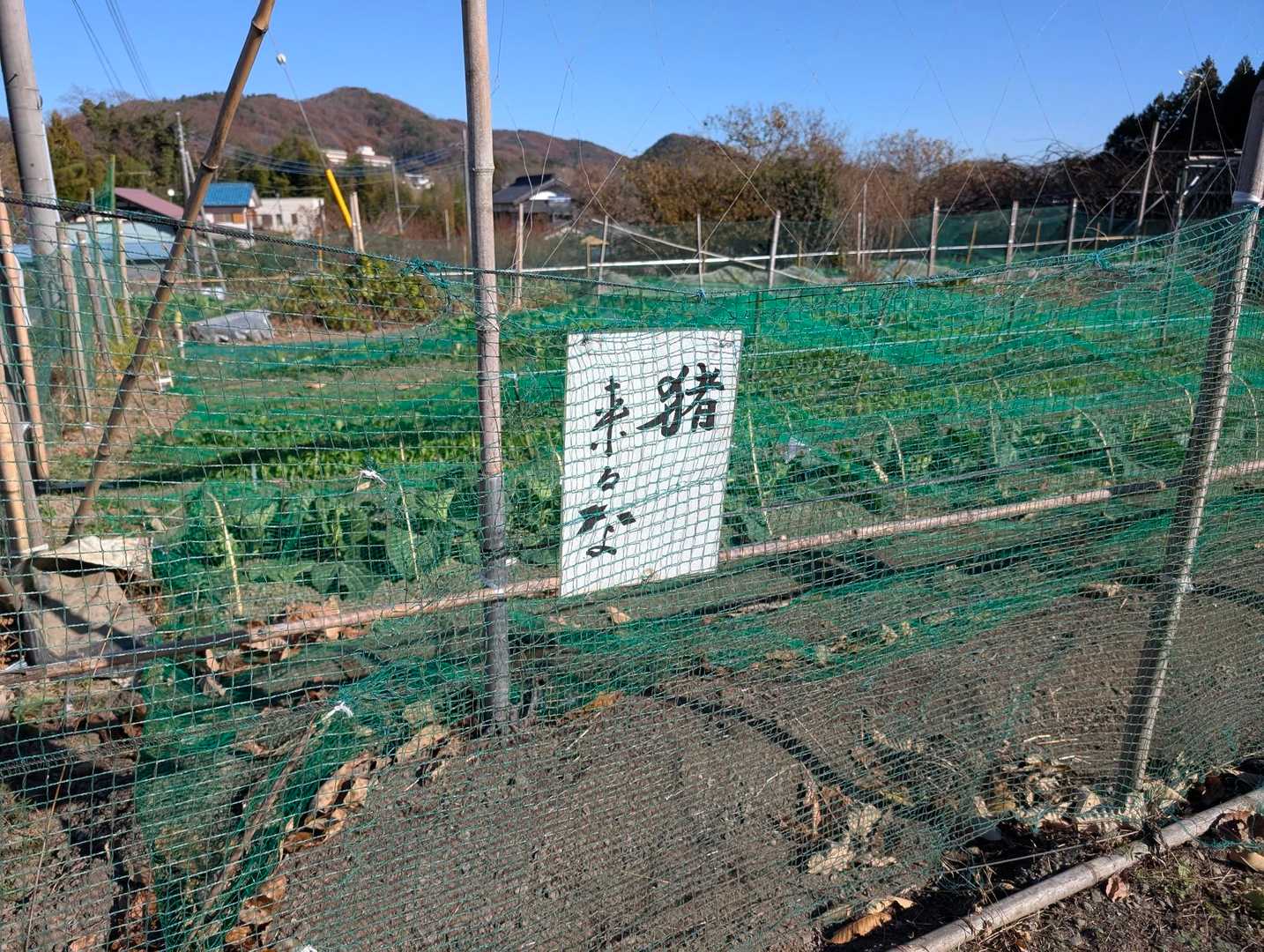 気持ちは分かりますが…