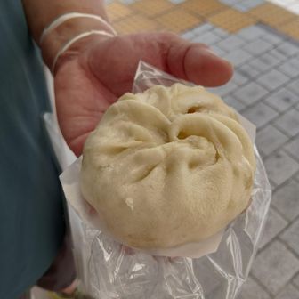 お友達オススメの豚まん🐷玉ねぎの甘みがたっぷりで美味しかったです😋