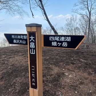 大畠山を通って下山