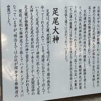 手足腰の病気から守ってくれる⁉️
これは大事😆