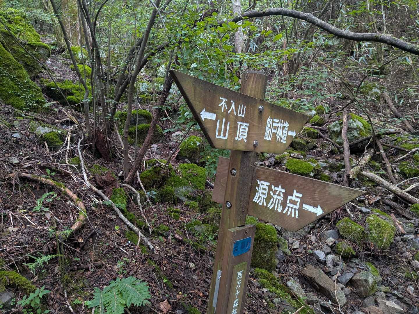 分岐から山頂に向かいます。