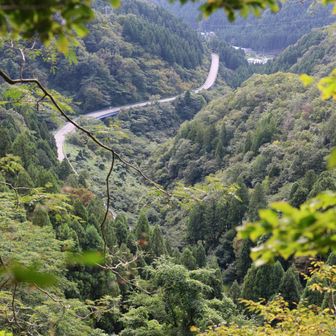 車やバイクのエンジン音が聞こえたかと思う
と眼下に国道364号線が見えました。行きに
通った道ですね。