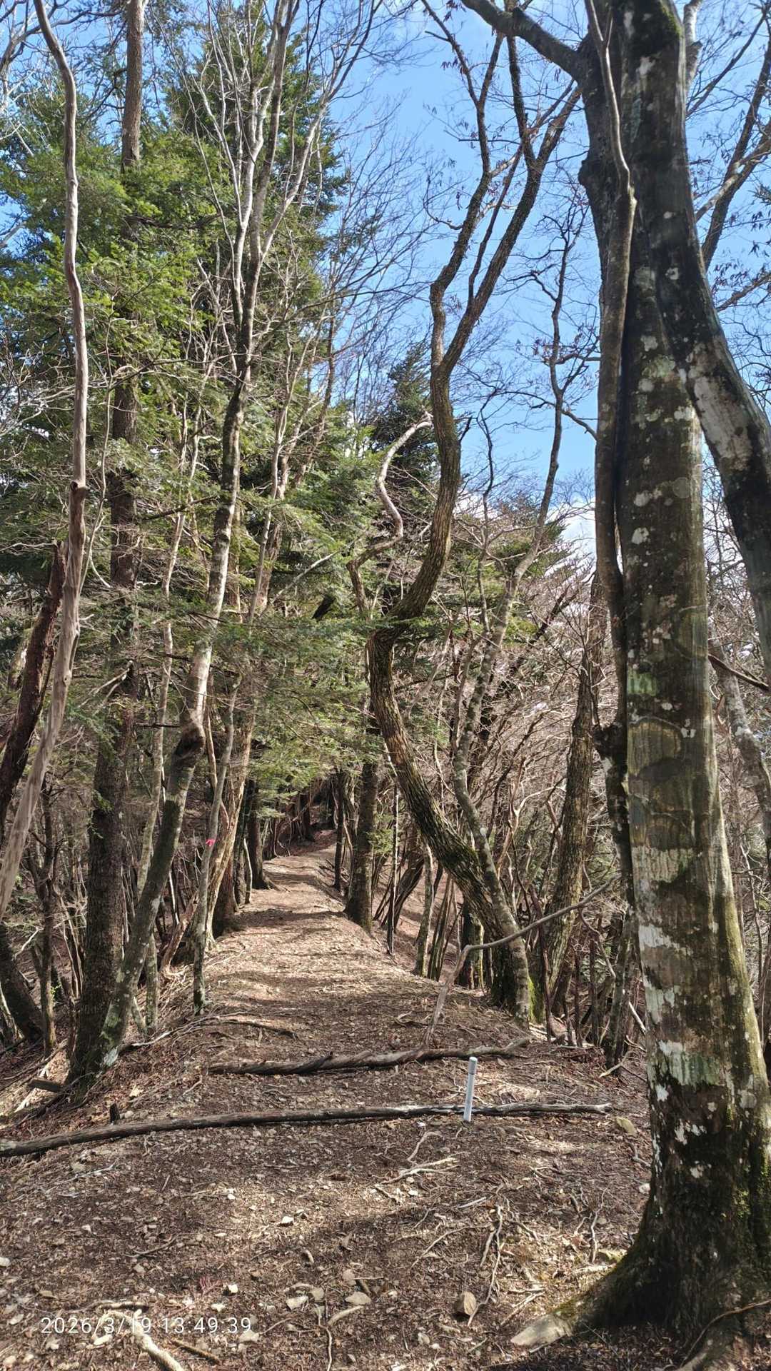 大股登山口からずっとガスガスで寒いし、ただただ辛かった😅
でも青空になるだけでテンション上がるね