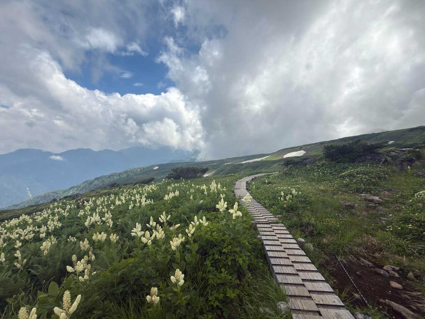 登った先は、楽園でした🌸