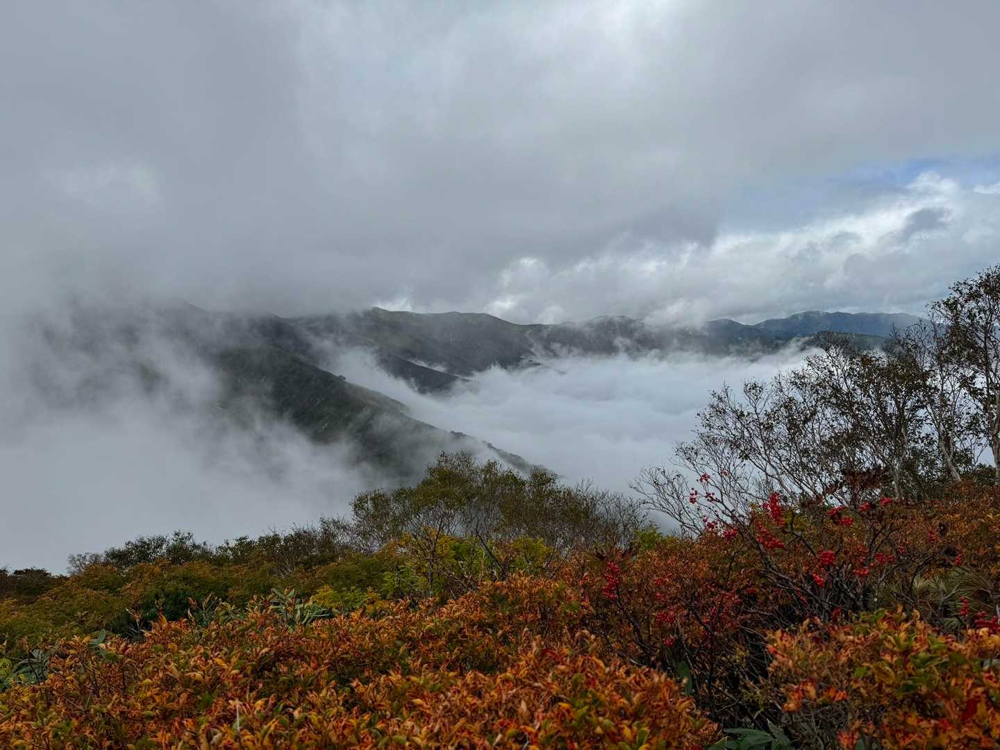清太岩山-ユーフン山-竜門山-西朝日岳-大朝日岳-小朝日岳 周回コースの写真