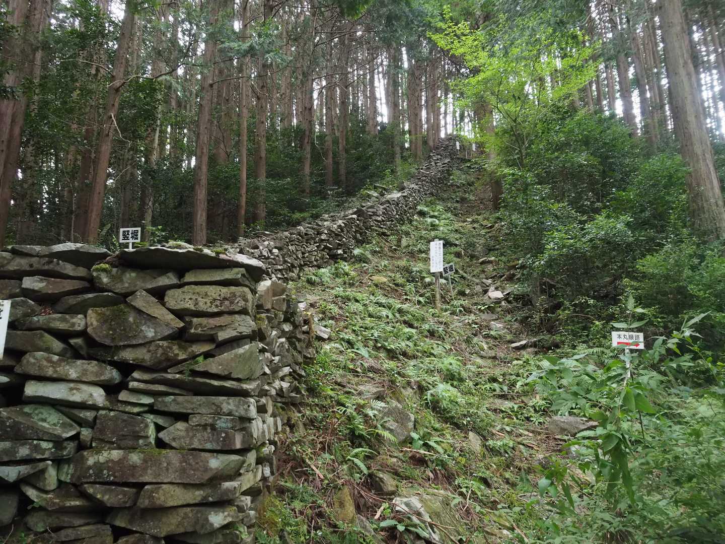 扇山 往復コースの写真