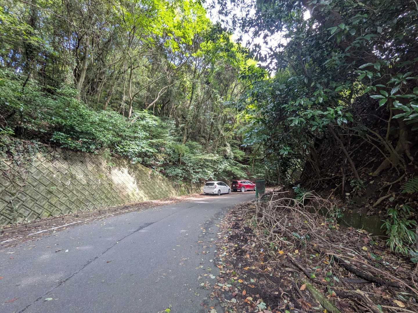 山友さんの車と2台だけになってる🚗