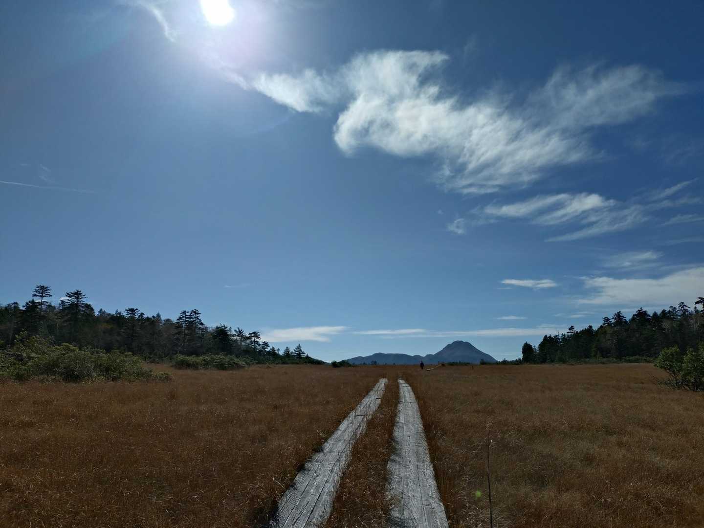 天空湿原