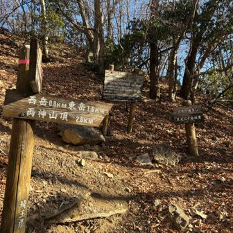 ここまでの登り上げが
帰りは激下りなのが…🤣