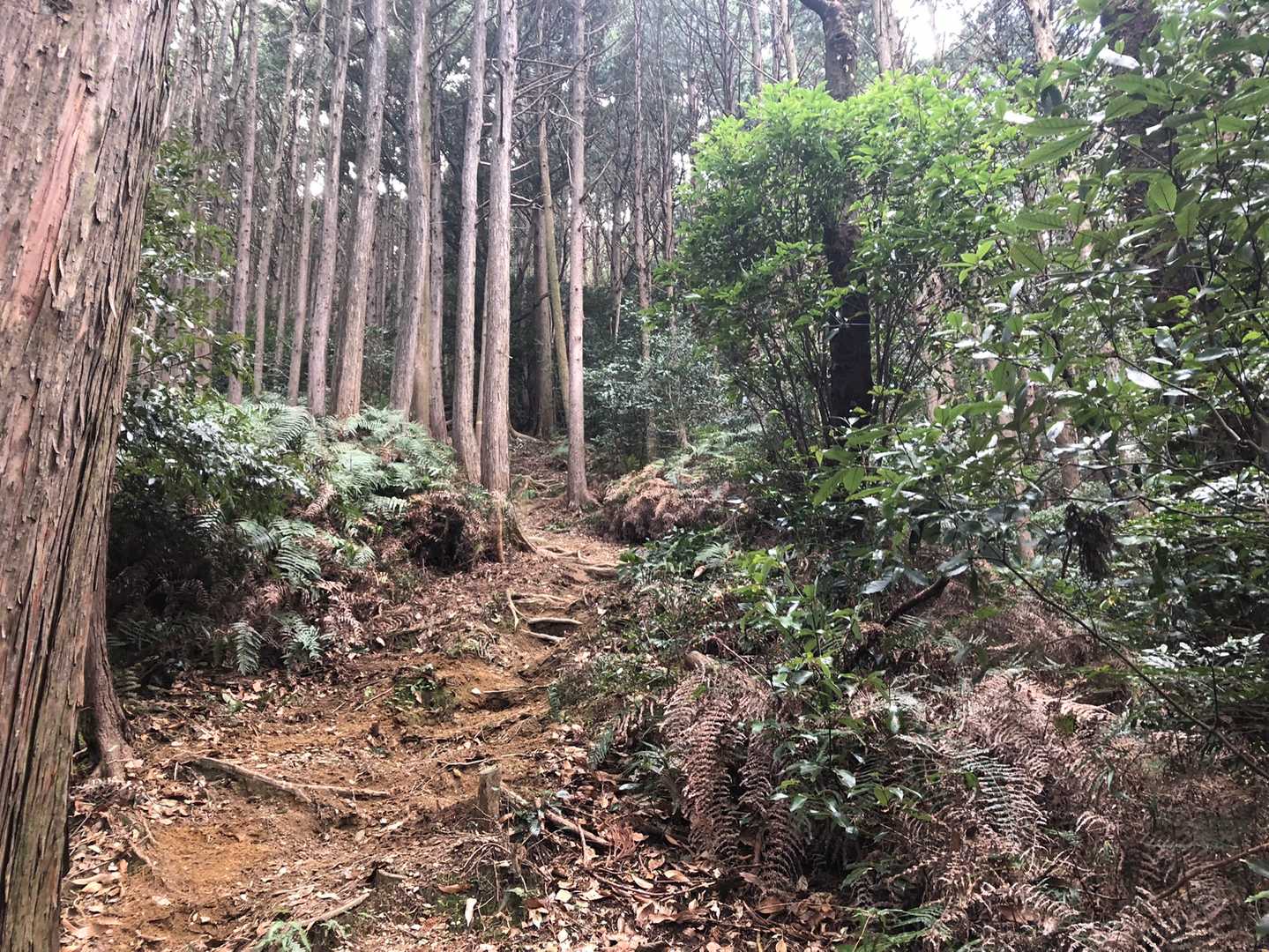 地味ーーに歩きにくい