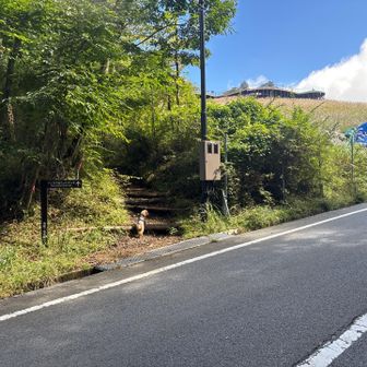パノラマ台　⇑へ