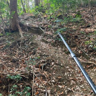 山頂まで残り300mほど、急登になってきた。
1時間11分が経過。
快調に登っていきます。