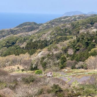 石部の棚田展望台から
