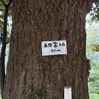 座間富士山
相武台前駅まで歩いてゴール。