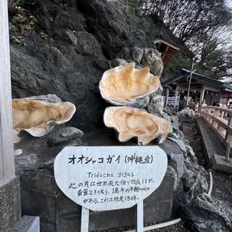 おおきい〜！😳