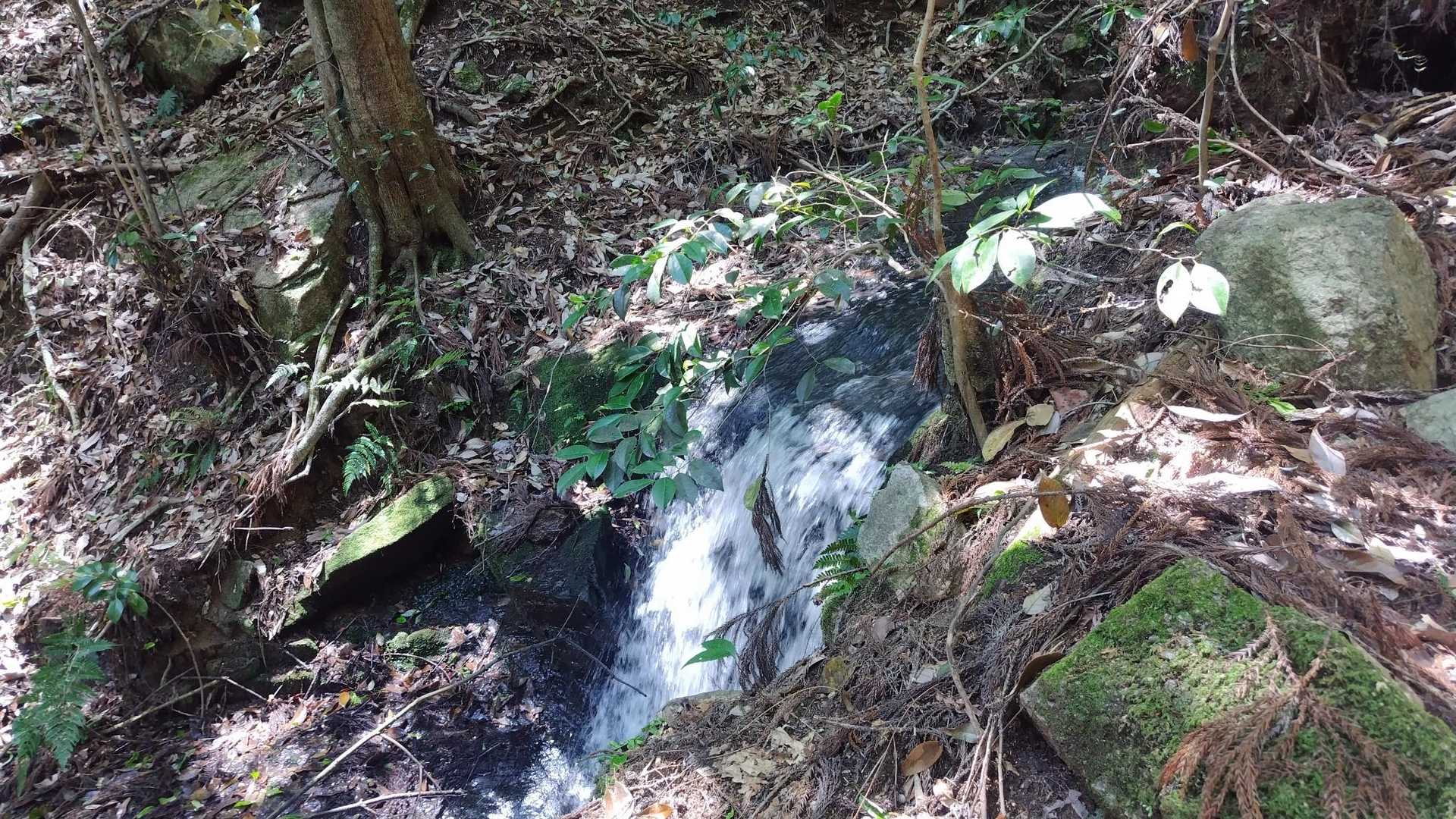 きれいな水だなぁと思うと