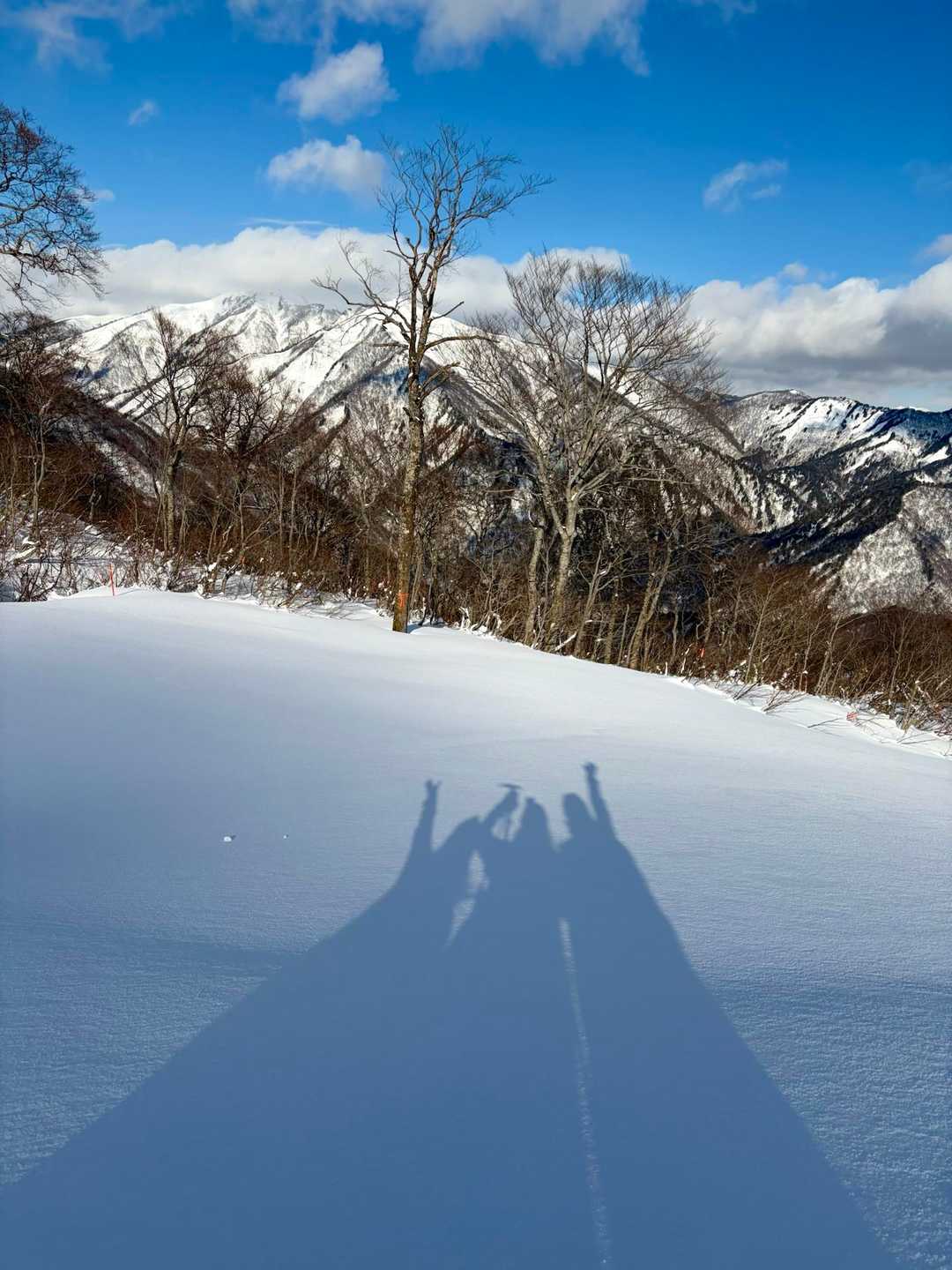 そして、美味しいもの大好き
楽しいこと、大好き

のんびりマイペースな
道草隊で

2026年もたくさんの山に登れるように！

とりあえず
夏に向けて頑張ろー✊🏻🔥