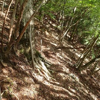 急傾斜地をジグザグに。