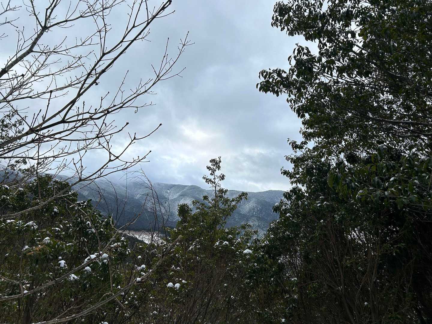高見山登山口-高見山 縦走コースの写真