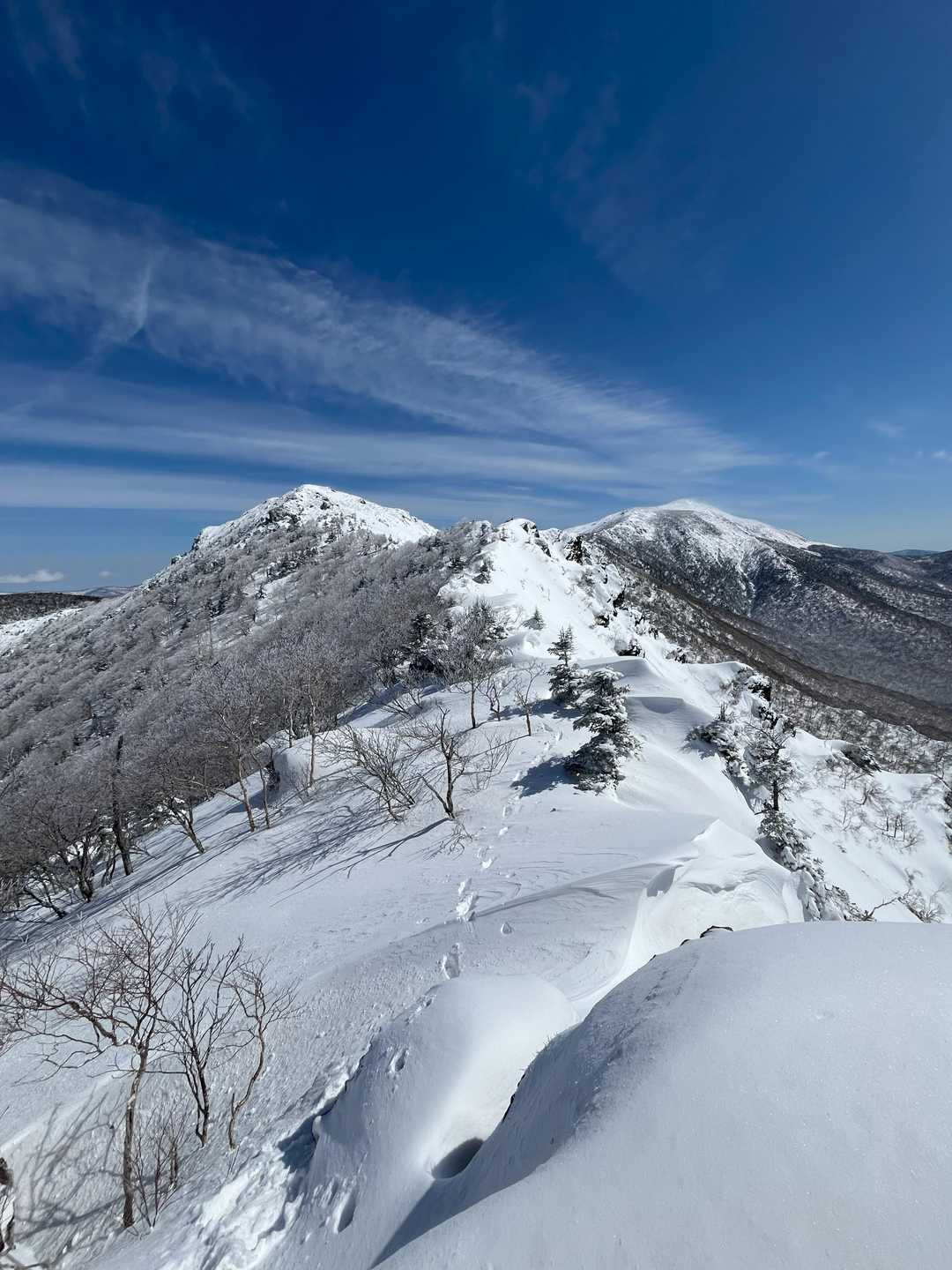 鶏頭と早池峰２ショット