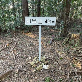 なんで読むんだろ？展望なし