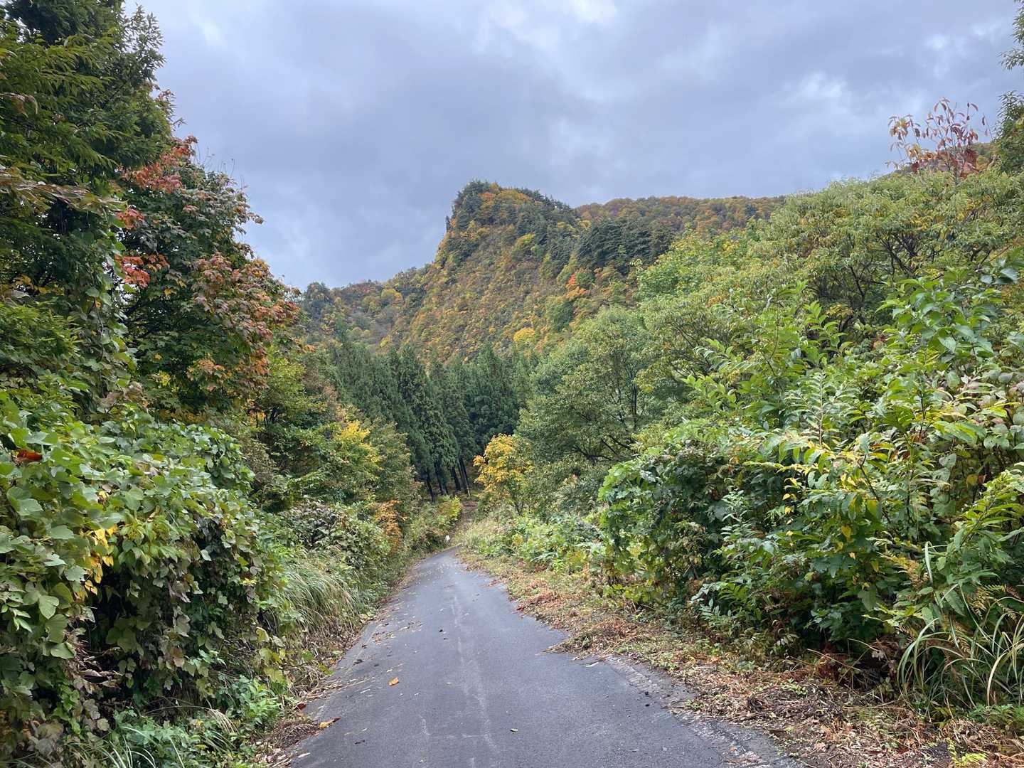 すぎちゃんはここ（五十嵐登山口）から〜　行って来ます😊
