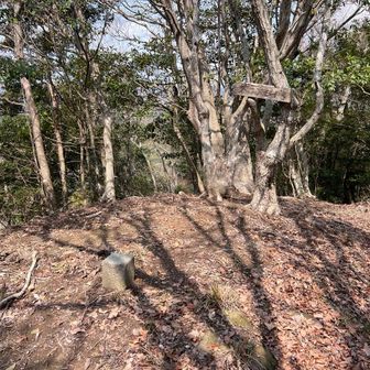 やっとのことで大塚山山頂に辿り着いたものの展望無しで拷問のような山。
東へ降りようとしたら、崖になってて降りられない。
しかも両側崖で痩せ尾根。
無理ゲーだ〜。
ここはおとなしく引き返す。