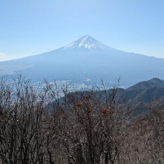 新倉山方面分岐点からの富士山