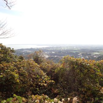 いちばん見えたかな