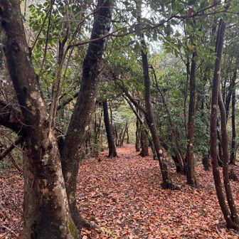 さ、ゆっくりしてられない