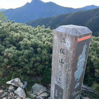 三伏山。塩見岳が、後ろに🏔️
ここから記憶なし。フラフラ歩く。
