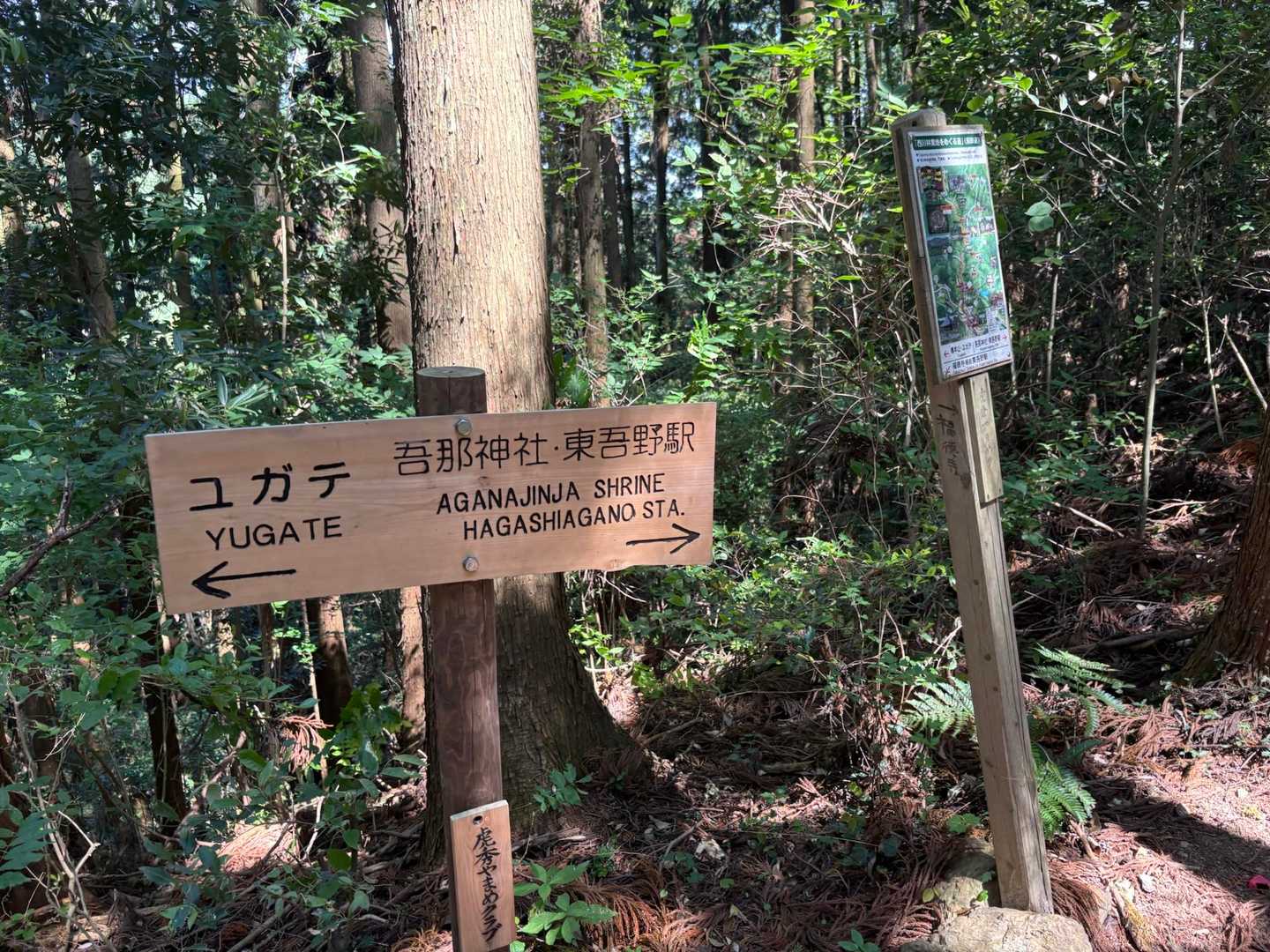 さ、東吾野駅へ降ります。