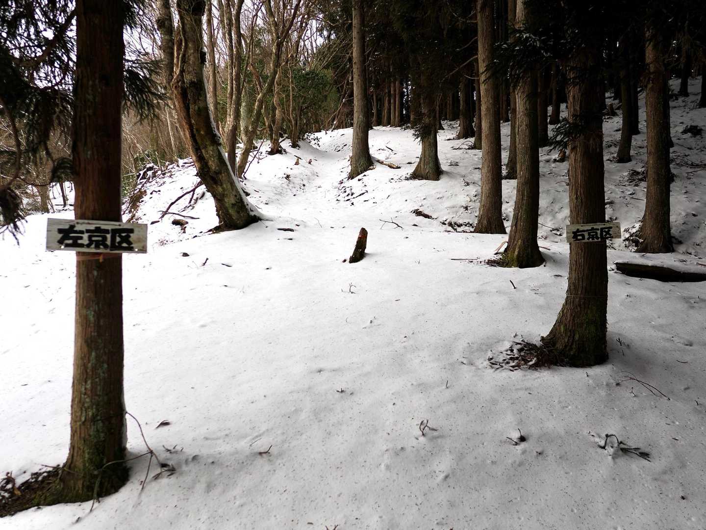 山で区の境目にはあまり出会わない