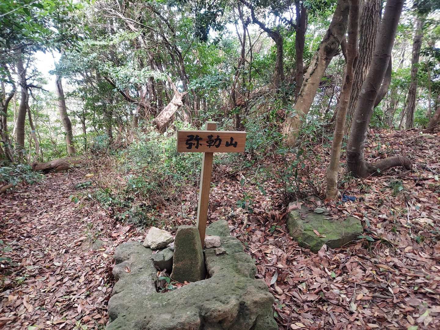 初の弥勒山