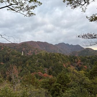 今から行きますよ〜👋